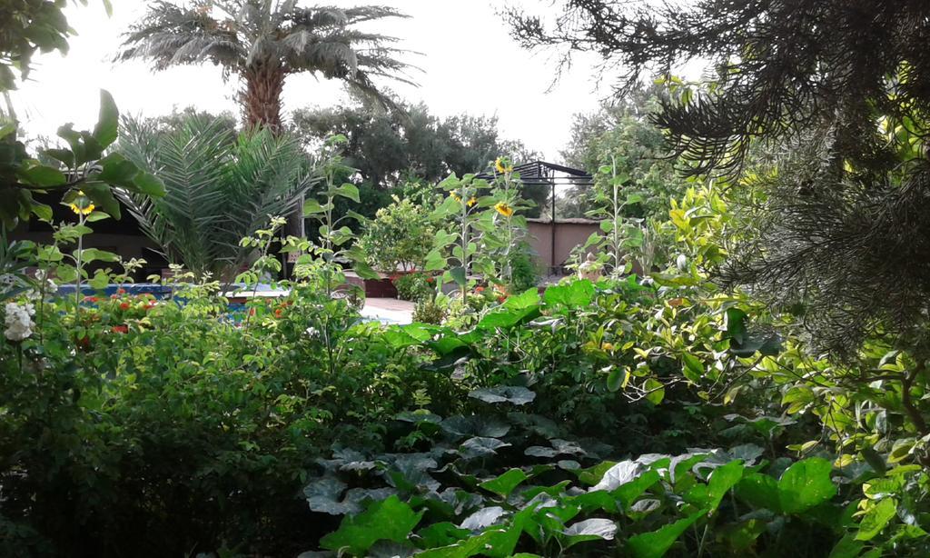 مبيت وإفطار Bassatine سكورة المظهر الخارجي الصورة