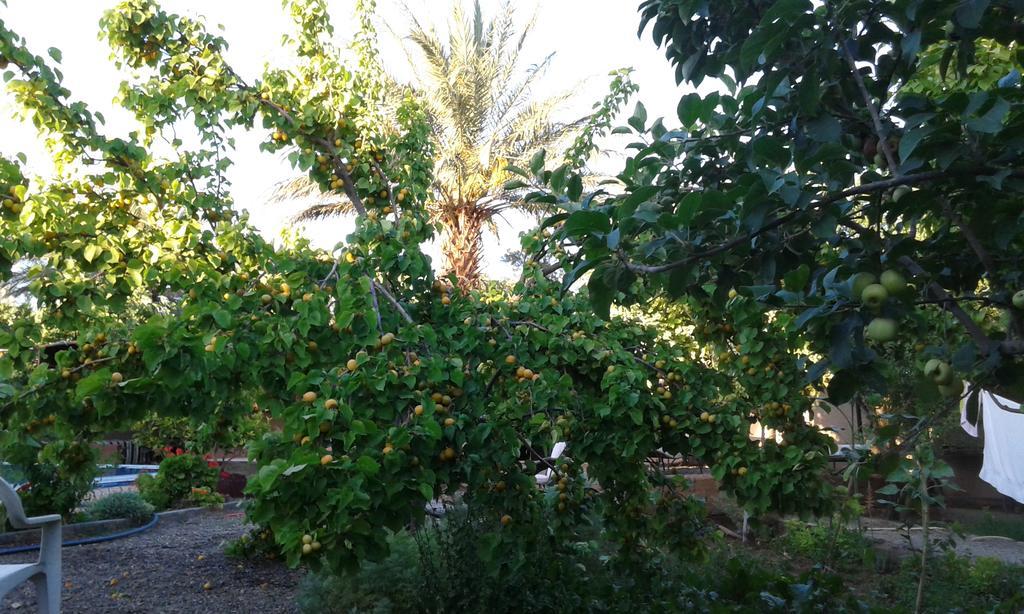 مبيت وإفطار Bassatine سكورة المظهر الخارجي الصورة